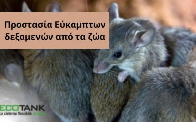 Εύκαμπτη δεξαμενή – Προστασία από ζώα – (15)