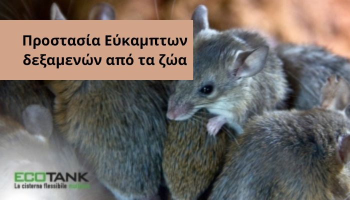 Εύκαμπτη δεξαμενή – Προστασία από ζώα – (15)